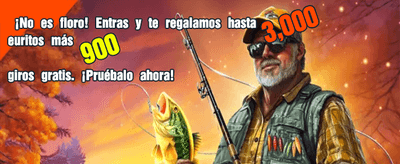 Experiencia de casino en Mr Bet